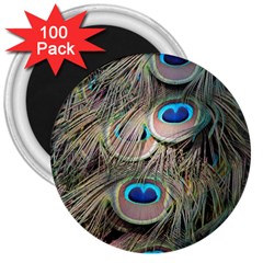 Colorful Peacock Feathers Background 3  Magnets (100 Pack) by Simbadda