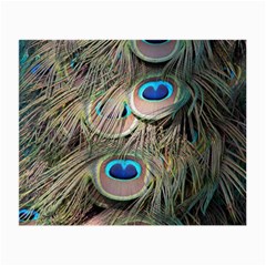 Colorful Peacock Feathers Background Small Glasses Cloth by Simbadda