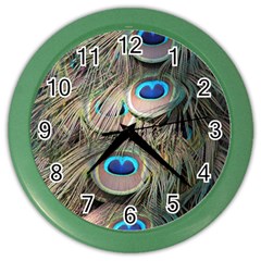 Colorful Peacock Feathers Background Color Wall Clocks by Simbadda