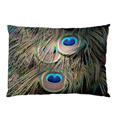 Colorful Peacock Feathers Background Pillow Case by Simbadda