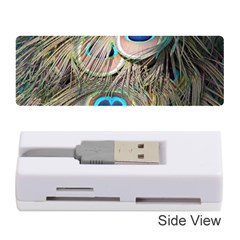 Colorful Peacock Feathers Background Memory Card Reader (stick)  by Simbadda