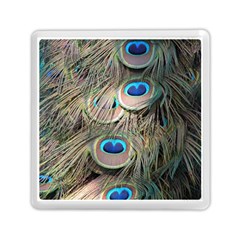 Colorful Peacock Feathers Background Memory Card Reader (square)  by Simbadda