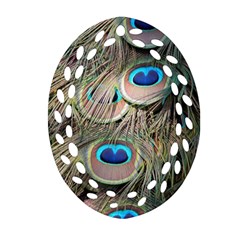 Colorful Peacock Feathers Background Ornament (oval Filigree) by Simbadda