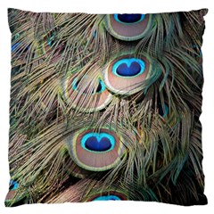 Colorful Peacock Feathers Background Large Cushion Case (two Sides) by Simbadda