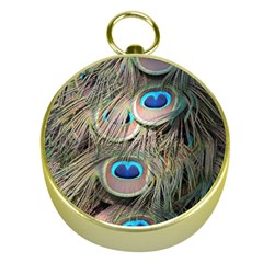 Colorful Peacock Feathers Background Gold Compasses by Simbadda