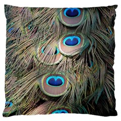 Colorful Peacock Feathers Background Large Flano Cushion Case (one Side) by Simbadda