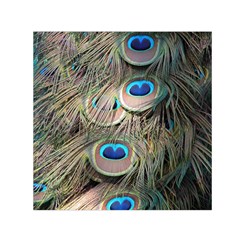 Colorful Peacock Feathers Background Small Satin Scarf (square)