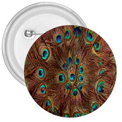 Peacock Pattern Background 3  Buttons by Simbadda