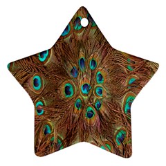 Peacock Pattern Background Ornament (star) by Simbadda