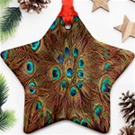 Peacock Pattern Background Ornament (Star) Front