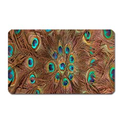 Peacock Pattern Background Magnet (rectangular) by Simbadda