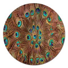 Peacock Pattern Background Magnet 5  (round) by Simbadda