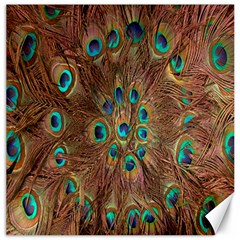 Peacock Pattern Background Canvas 12  X 12   by Simbadda