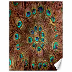 Peacock Pattern Background Canvas 12  X 16   by Simbadda