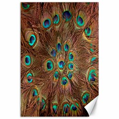 Peacock Pattern Background Canvas 12  X 18   by Simbadda