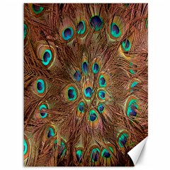 Peacock Pattern Background Canvas 36  X 48   by Simbadda