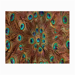 Peacock Pattern Background Small Glasses Cloth (2-side) by Simbadda