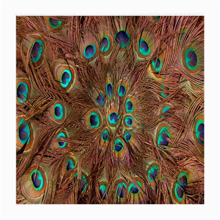 Peacock Pattern Background Medium Glasses Cloth (2-Side)