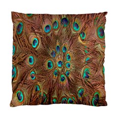 Peacock Pattern Background Standard Cushion Case (two Sides) by Simbadda