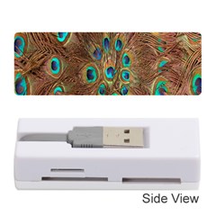 Peacock Pattern Background Memory Card Reader (stick)  by Simbadda