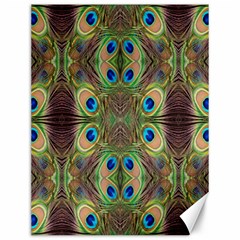 Beautiful Peacock Feathers Seamless Abstract Wallpaper Background Canvas 12  X 16   by Simbadda