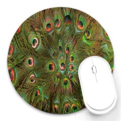 Peacock Feathers Green Background Round Mousepads by Simbadda