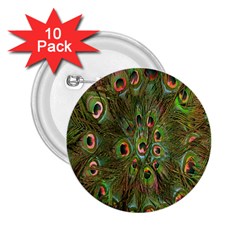 Peacock Feathers Green Background 2 25  Buttons (10 Pack)  by Simbadda