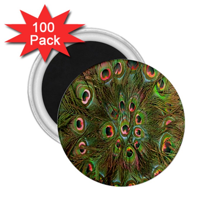 Peacock Feathers Green Background 2.25  Magnets (100 pack) 