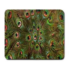 Peacock Feathers Green Background Large Mousepads by Simbadda