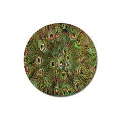 Peacock Feathers Green Background Magnet 3  (round) by Simbadda