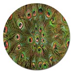 Peacock Feathers Green Background Magnet 5  (Round) Front