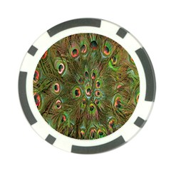 Peacock Feathers Green Background Poker Chip Card Guard by Simbadda