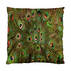 Peacock Feathers Green Background Standard Cushion Case (one Side) by Simbadda