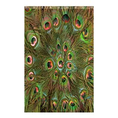 Peacock Feathers Green Background Shower Curtain 48  X 72  (small)  by Simbadda