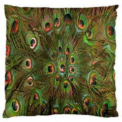 Peacock Feathers Green Background Standard Flano Cushion Case (two Sides) by Simbadda