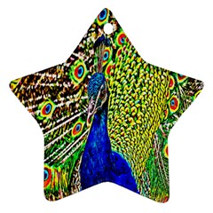 Graphic Painting Of A Peacock Ornament (star) by Simbadda