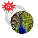 Graphic Painting Of A Peacock 2.25  Buttons (10 pack)  Front