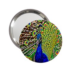 Graphic Painting Of A Peacock 2 25  Handbag Mirrors by Simbadda