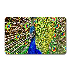 Graphic Painting Of A Peacock Magnet (rectangular) by Simbadda