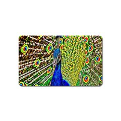 Graphic Painting Of A Peacock Magnet (name Card) by Simbadda