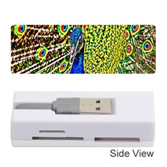 Graphic Painting Of A Peacock Memory Card Reader (stick)  by Simbadda