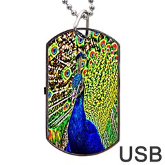 Graphic Painting Of A Peacock Dog Tag Usb Flash (two Sides) by Simbadda