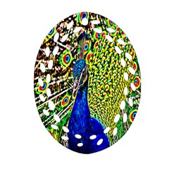 Graphic Painting Of A Peacock Oval Filigree Ornament (two Sides) by Simbadda