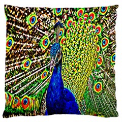 Graphic Painting Of A Peacock Large Cushion Case (two Sides) by Simbadda