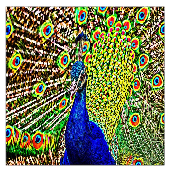 Graphic Painting Of A Peacock Large Satin Scarf (Square)