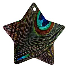 Peacock Feathers Ornament (star) by Simbadda