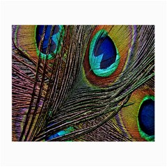 Peacock Feathers Small Glasses Cloth by Simbadda