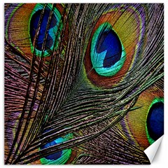 Peacock Feathers Canvas 12  X 12   by Simbadda