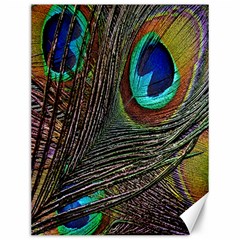 Peacock Feathers Canvas 12  X 16   by Simbadda