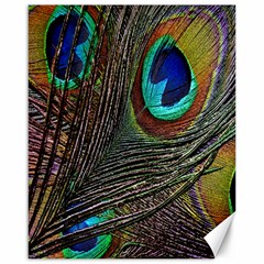 Peacock Feathers Canvas 16  X 20   by Simbadda